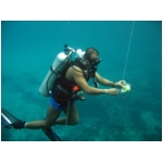 divemaster javier.jpg
